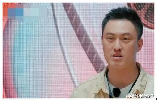 吃瓜吃不过来娱乐圈